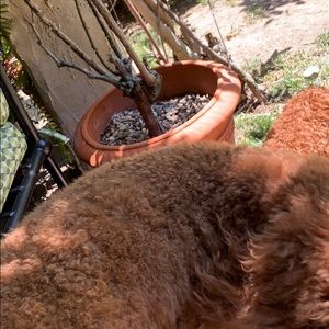 Meet your Posher, Michele